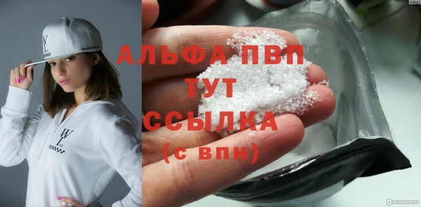 прущие грибы Абдулино