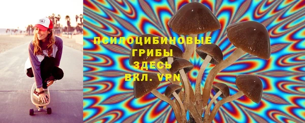 хмурый Абинск