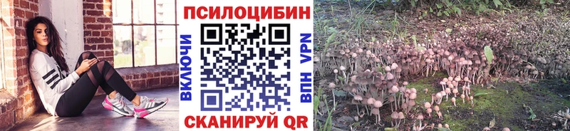 Псилоцибиновые грибы Cubensis  ОМГ ОМГ как зайти  Ряжск  купить  цена 